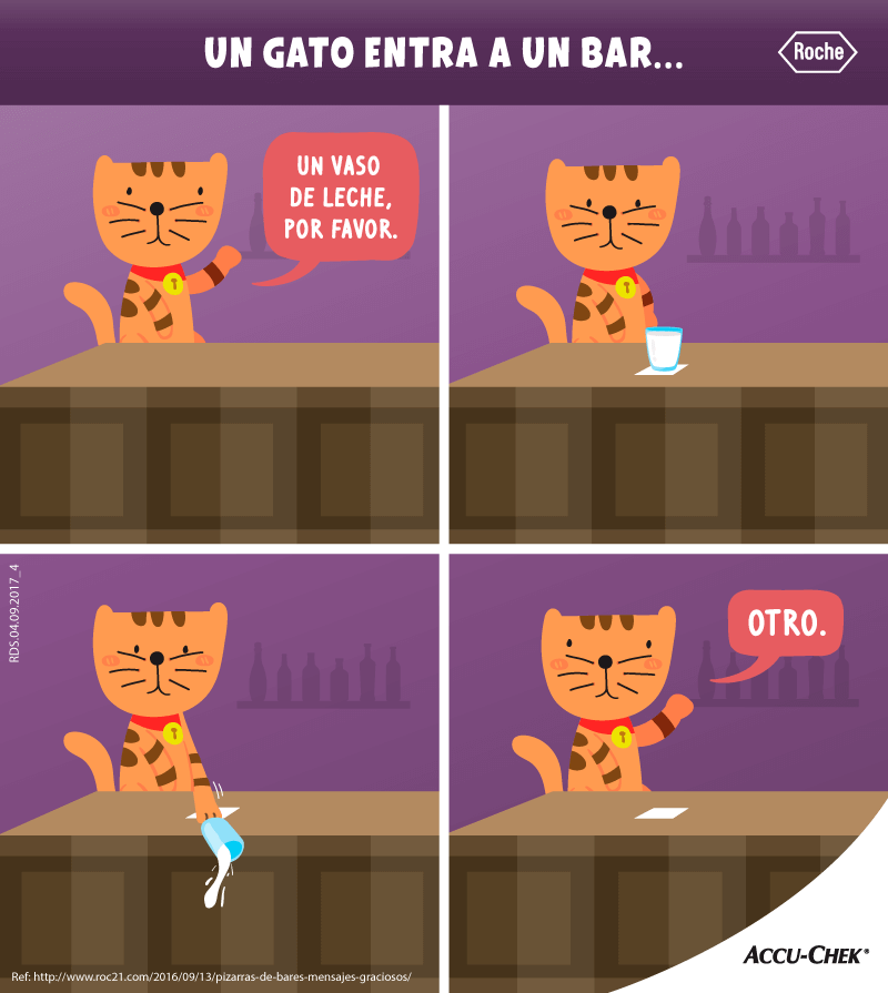 gato